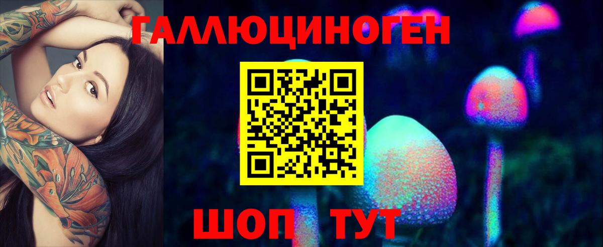 Галлюциногенные грибы прущие грибы  Псилоцибиновые грибы Cubensis  Вход с VPN  Якутск 